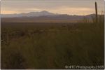 Desert Museum 13