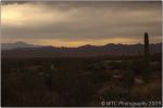 Desert Museum 19