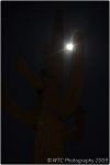 Desert At Night 5