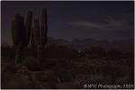 Desert At Night 15