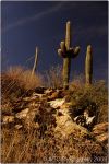 Esperero Trail 2