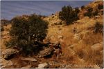 Esperero Trail 7