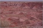 Painted Desert 21