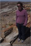 Red Petrified Forest 25