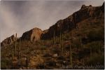 Phoneline Trail 4