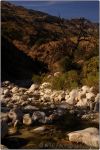 Phoneline Trail 21