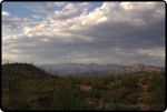 Saguaro East Nat�l Park 12