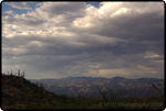 Saguaro East Nat�l Park 13