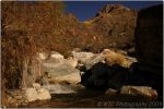 Seven Falls 19