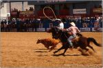Tucson Rodeo 14