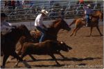 Tucson Rodeo 34