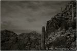 1st Tucson B&W 8