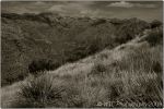 1st Tucson B&W 10