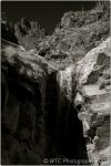 1st Tucson B&W 82