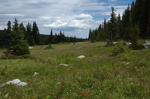 co_brainard_july10_001.jpg