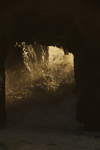cali_bigsur_0910_154.jpg