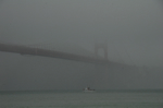 cali_goldengate_aug10_020.jpg