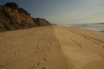 cali_halfmoon_1010_37.jpg