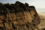 cali_halfmoon_1010_41.jpg