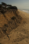 cali_halfmoon_1010_42.jpg