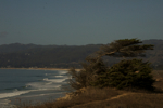 cali_halfmoon_1010_68.jpg