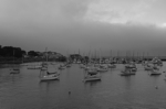 cali_monterey_aug10_054.jpg