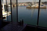 cali_monterey_aug10_081.jpg