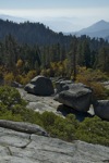 cali_sequoia_1110_061.jpg