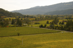 cali_sonoma_1110_037.jpg
