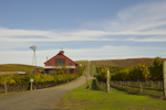 cali_sonoma_1110_055.jpg