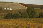 cali_sonoma_1110_068.jpg
