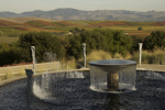 cali_sonoma_1110_104.jpg