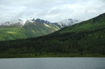 alaska_denali_july10_013.jpg