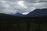 alaska_denali_july10_215.jpg