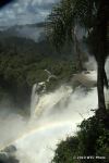 SCT_Argentina2_348_Iguazu.jpg