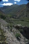 SCT_Argentina2_585_Iruya.jpg