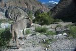 SCT_Argentina2_614_Iruya.jpg