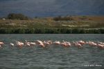 SCT_Argentina_103_Calafate.jpg