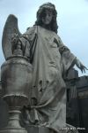 SCT_Argentina_223_BA.jpg