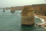 SCT_Oz_085_ApolloBay.jpg