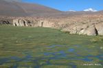 SCT_Bolivia_052_SaltFlats.jpg