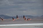 SCT_Bolivia_106_SaltFlats.jpg