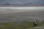 SCT_Bolivia_108_SaltFlats.jpg