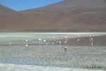 SCT_Bolivia_150_SaltFlats.jpg