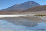 SCT_Bolivia_151_SaltFlats.jpg