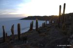 SCT_Bolivia_189_SaltFlats.jpg