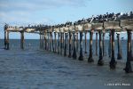 SCT_Chile_808_PuntaArenas.jpg