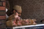 SCT_Morocco_021_Marrakesh.jpg