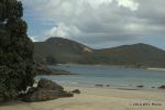 SCT_NZ_078_TaurangaBay.jpg