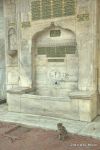 SCT_Turkey_374_Istanbul.jpg